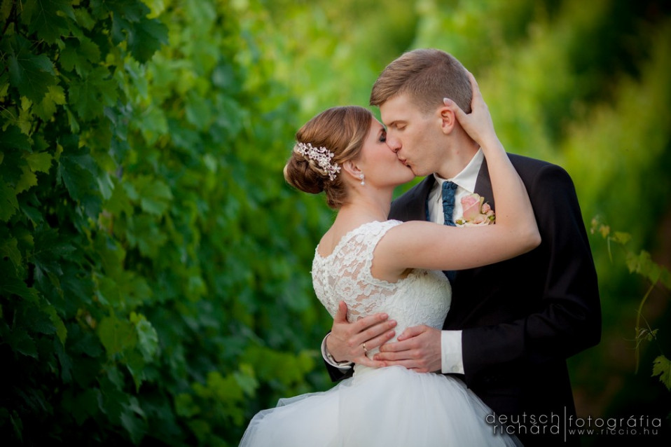 Esküvő: Nóri és Ricsi – Olasz, Villány