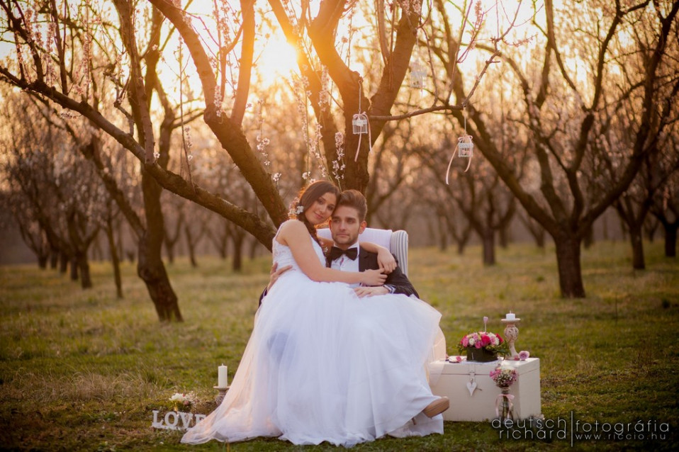 Romantikus esküvői kreatív fotózás egy gyümölcsösben